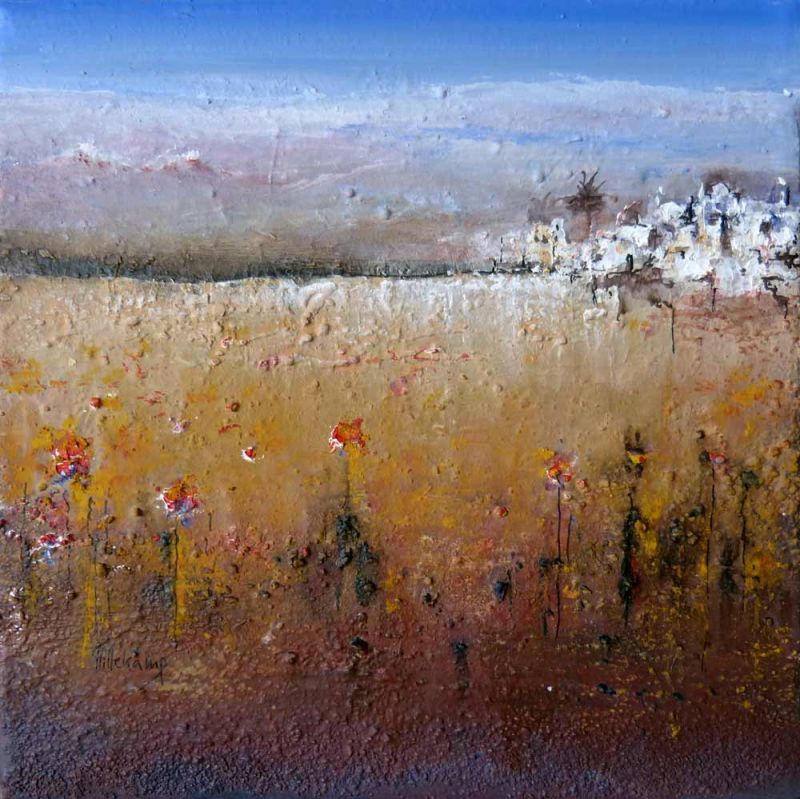 poppy flowers field memory  poppy flowers field memory